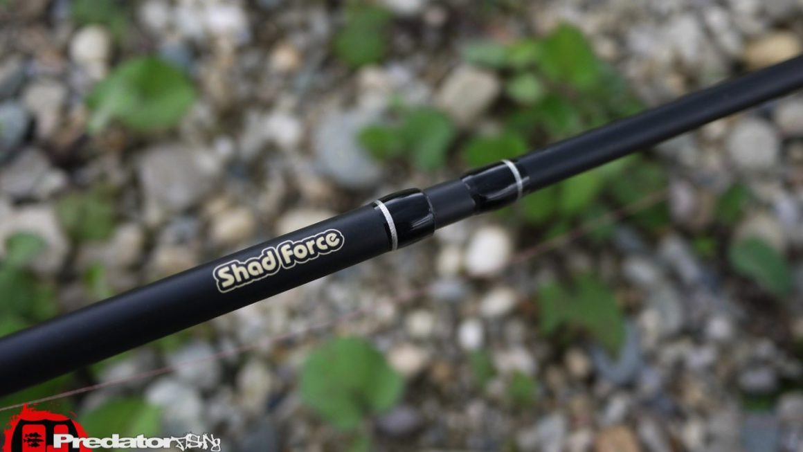 Pro Series Shad Force Fox-Rage