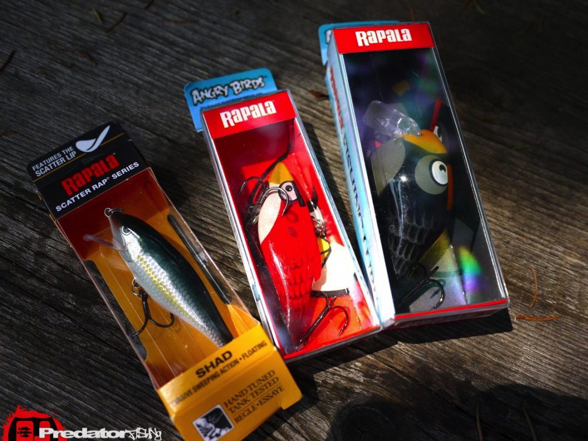 Rapala-Angry Birds Special