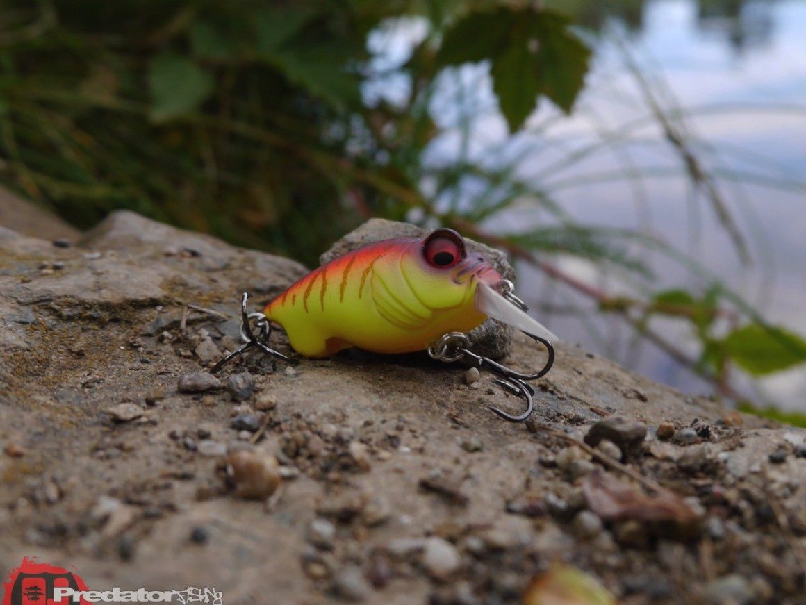 Megabass Baby Griffon