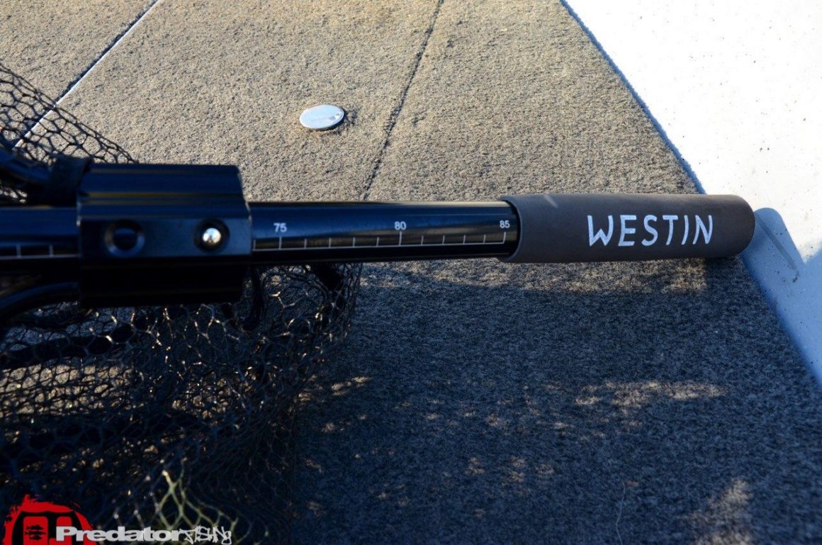 Westin W3 CR Landing Net – Kescher