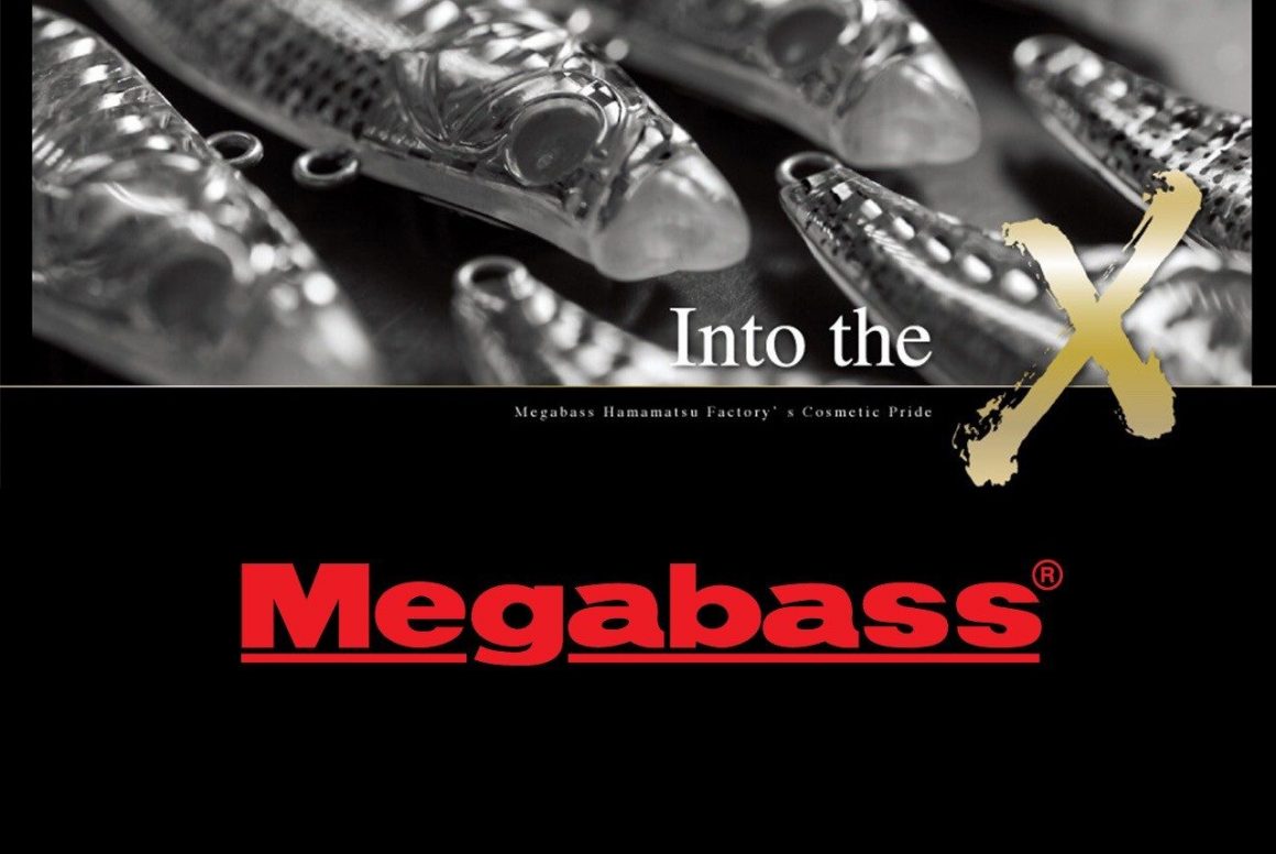 Megabass Into The X Stage 1