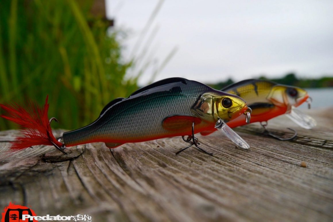 Westinfishing-Percy-the-Perch-HL