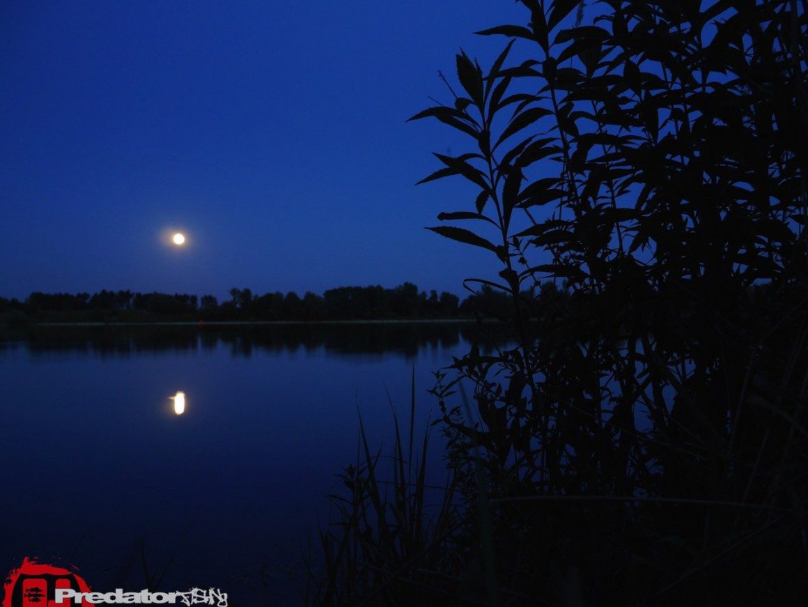 Angeln auf Raubfisch bei Vollmond effizienter