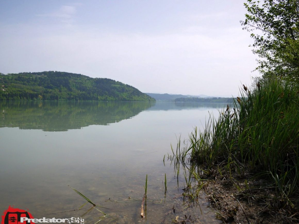 Auf Hecht am Völkermarkter Stausee