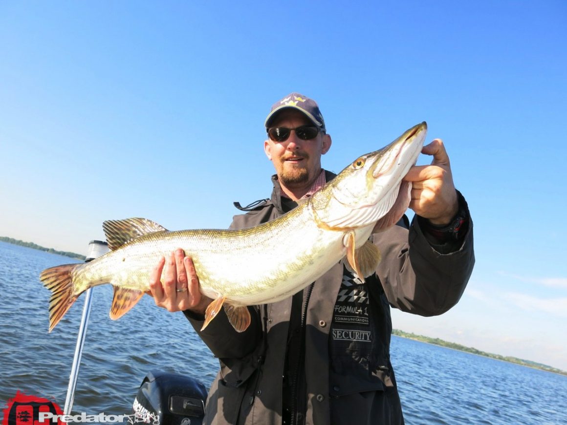 Auf Hecht in den Bodden Gewässern am Strelasund