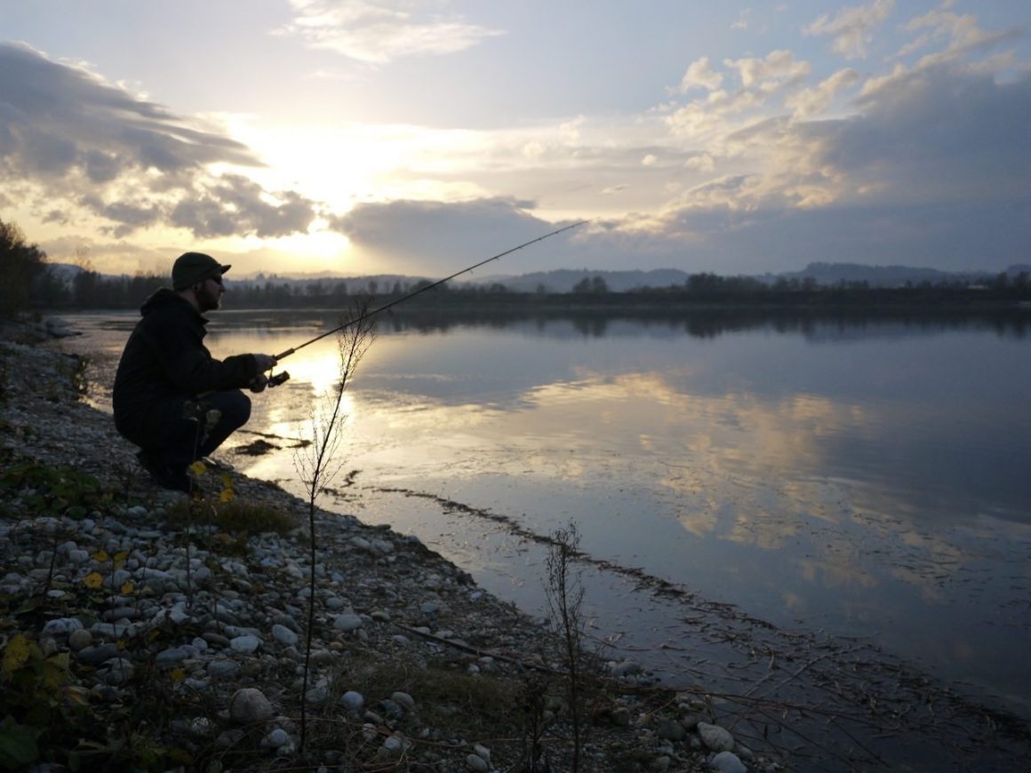 Auf Hecht mit dem PRO Shad im Herbst an der Aldrian