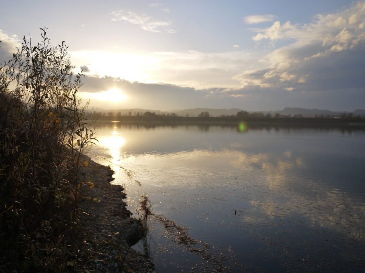 Auf Hecht mit dem PRO Shad im Herbst an der Aldrian