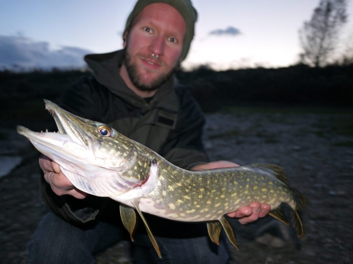 Auf Hecht mit dem PRO Shad im Herbst an der Aldrian