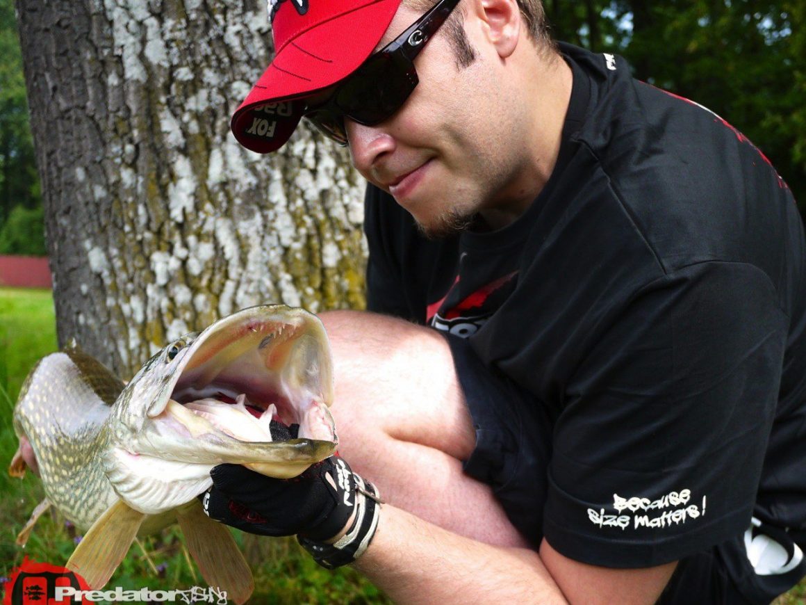 Dicke Hechte am Predator Lake