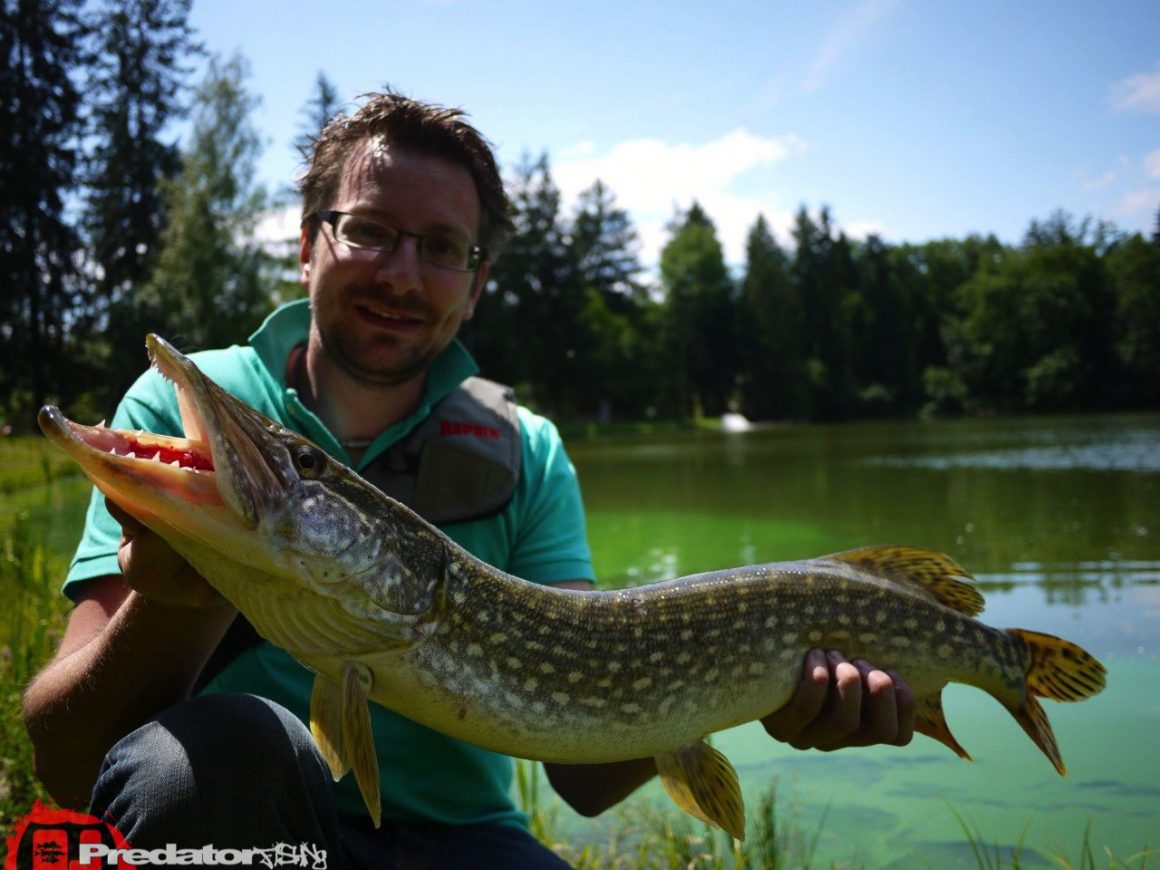 Erneut auf Meter-Hecht am Predator Lake