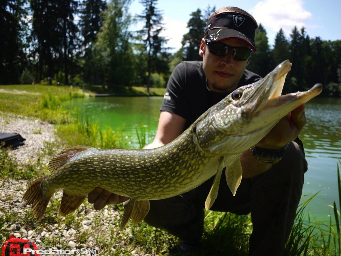 Erneut auf Meter-Hecht am Predator Lake