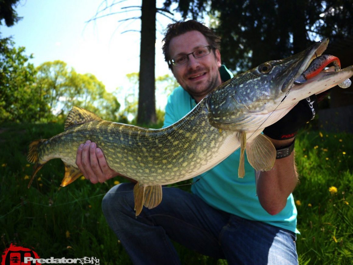 Erneut auf Meter-Hecht am Predator Lake