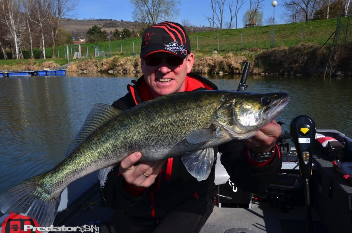 Flexible Methoden auf Zander in der Donau mit FOX Rage