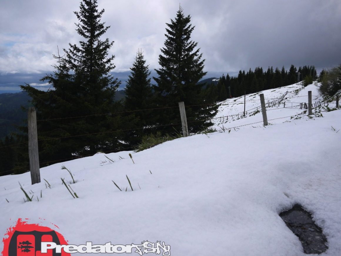 Hecht und Barsch am Badesee Piberstein