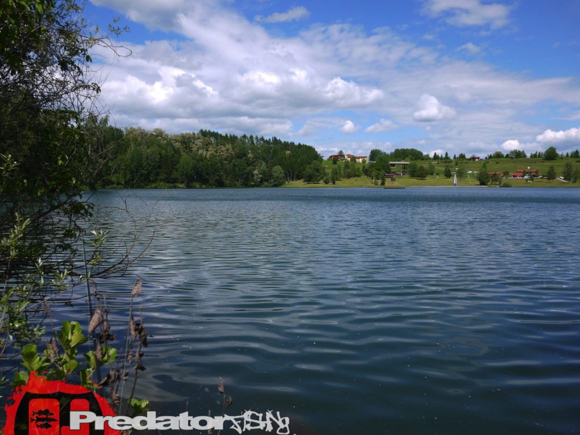 Hecht und Barsch am Badesee Piberstein