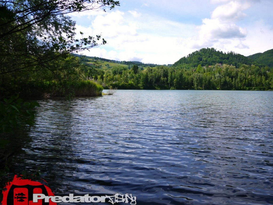 Hecht und Barsch am Badesee Piberstein