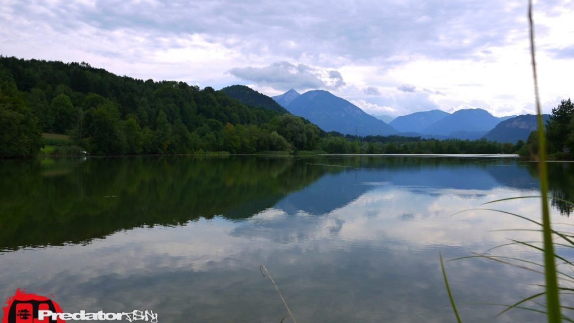 Hechtfischen an der Drau Revier Stürzenbecher