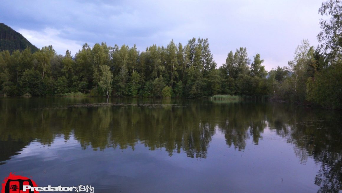 Hechtfischen an der Drau Revier Stürzenbecher