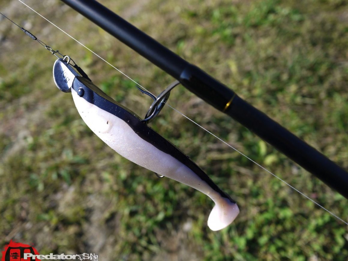 Kleine Hechte können auch Spaß machenmit dem FOX Rage Pro Shad