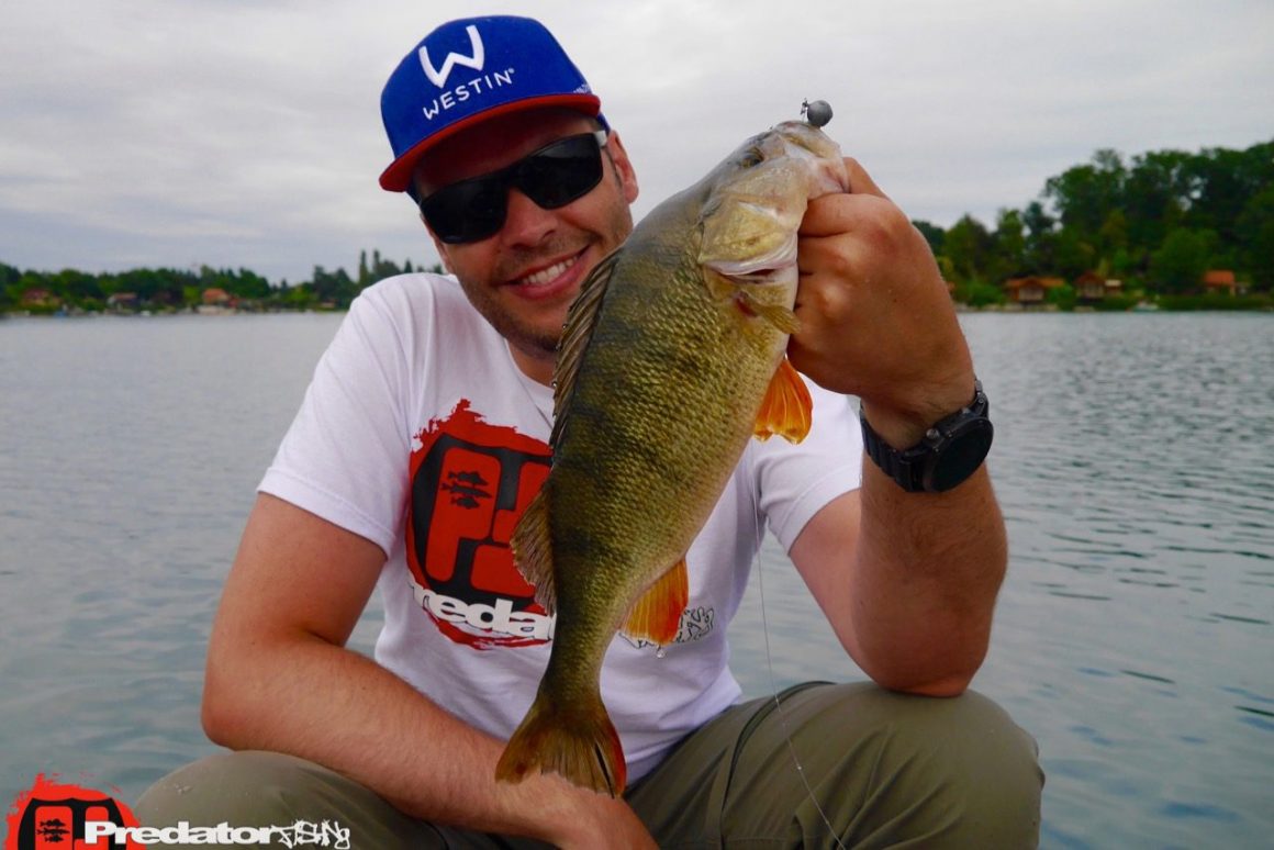 Mit dem Megabass KANATA auf Schwarzbarsch im Sommer