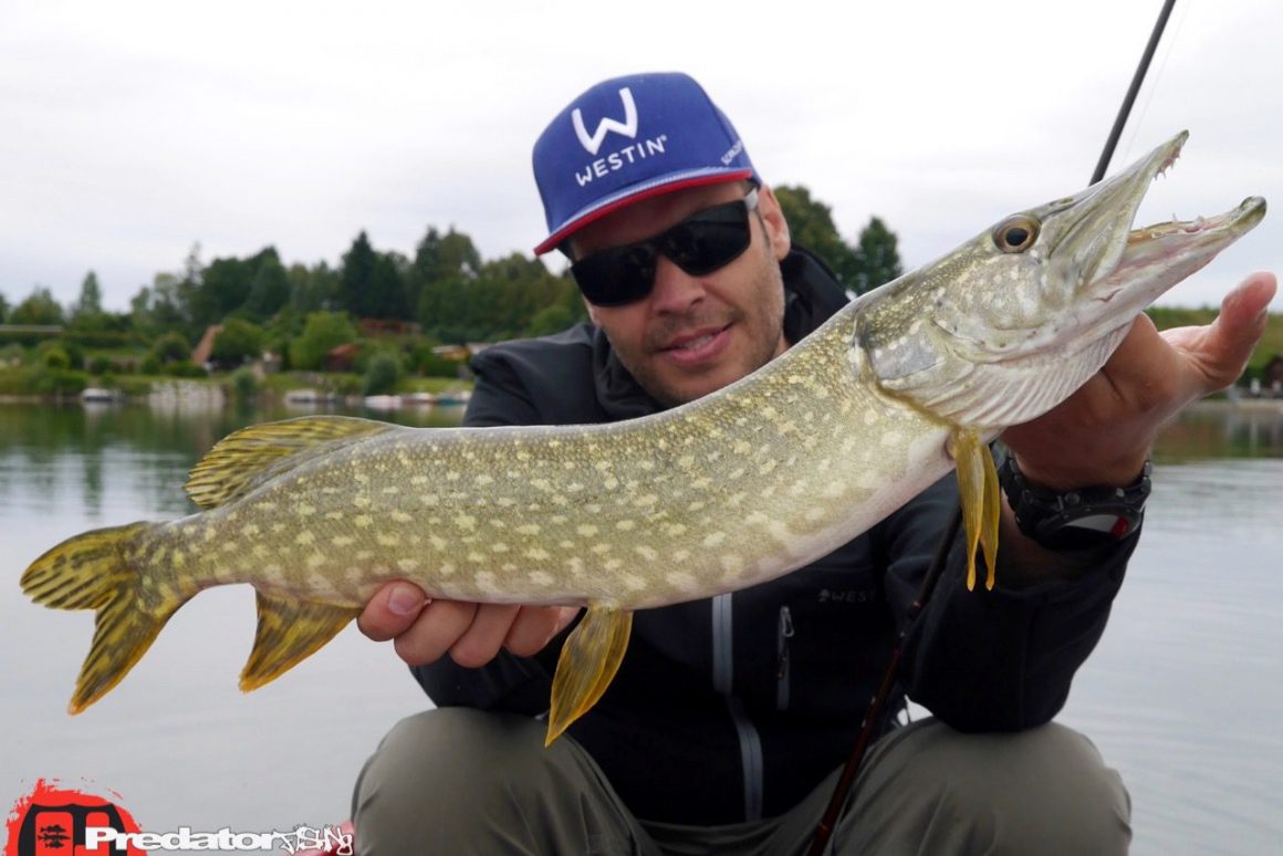 Mit dem Megabass KANATA auf Schwarzbarsch im Sommer