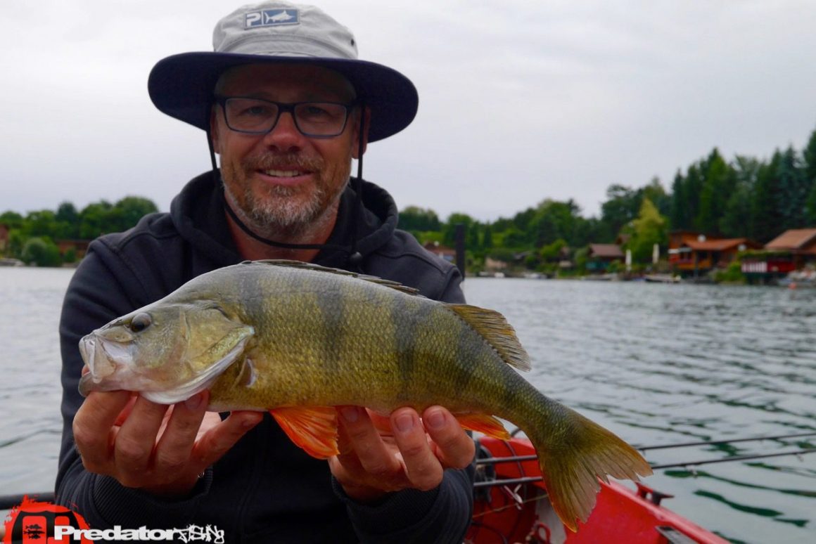 Mit dem Megabass KANATA auf Schwarzbarsch im Sommer