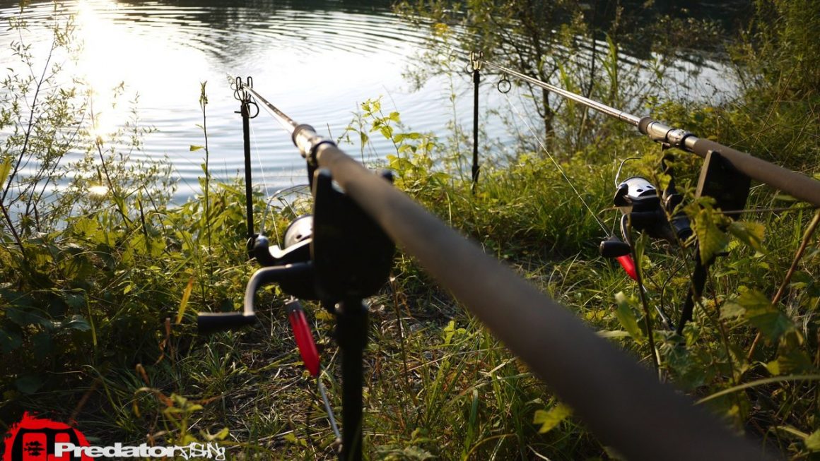 Stationär- vs. Spinnfischen auf Raubfisch