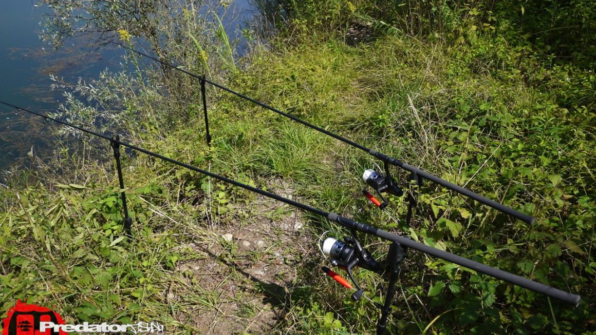 Stationär- vs. Spinnfischen auf Raubfisch