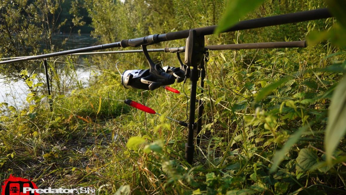 Stationär- vs. Spinnfischen auf Raubfisch