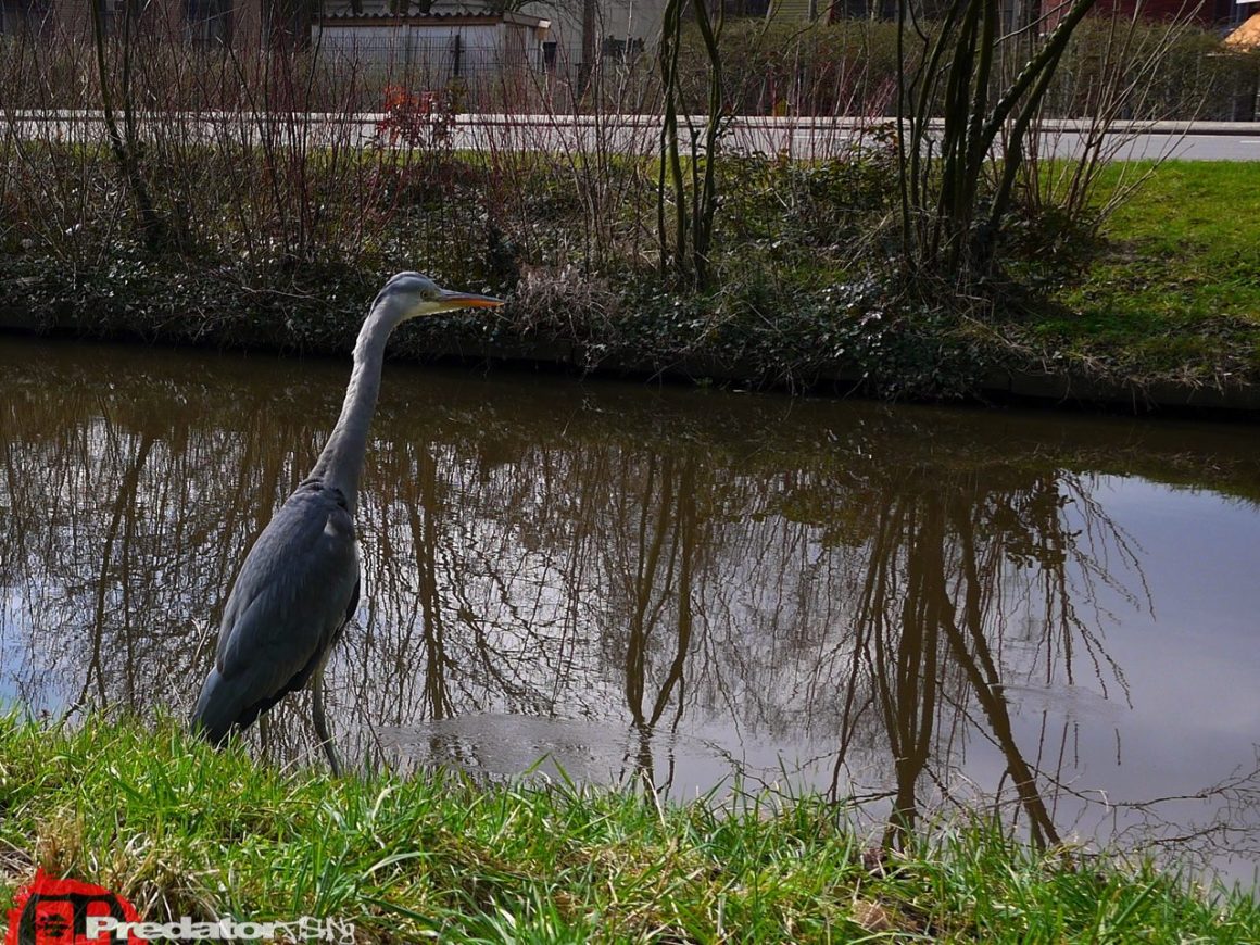 Streetfishing in den Kanälen der Niederlande