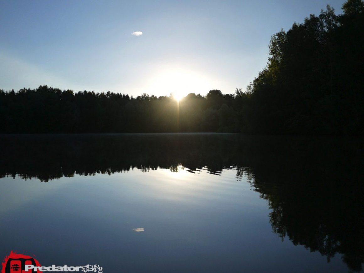 Zander aus dem Badesee Piberstein