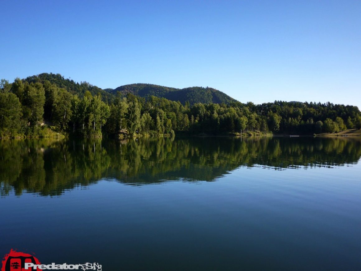 Zander aus dem Badesee Piberstein