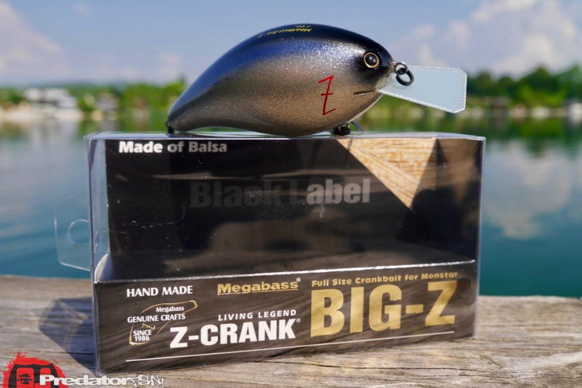 Megabass BIG-Z Z-Crank bluebackshad Black Label