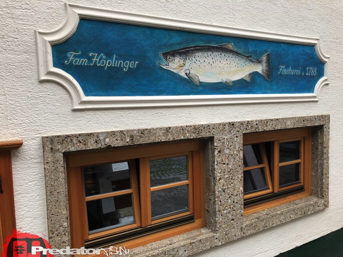 Raubfisch-Angeln am Wolfgangsee im Salzkammergut