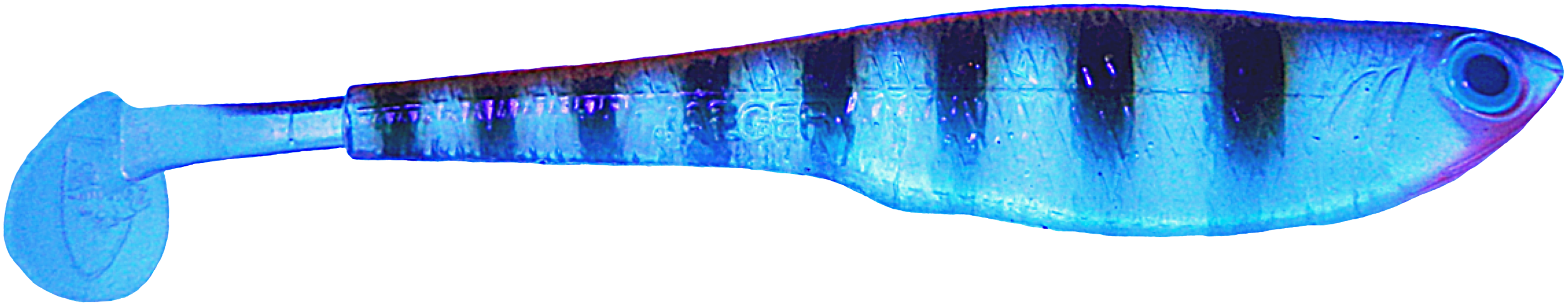 Zanderjäger Shad - Clear Perch UV